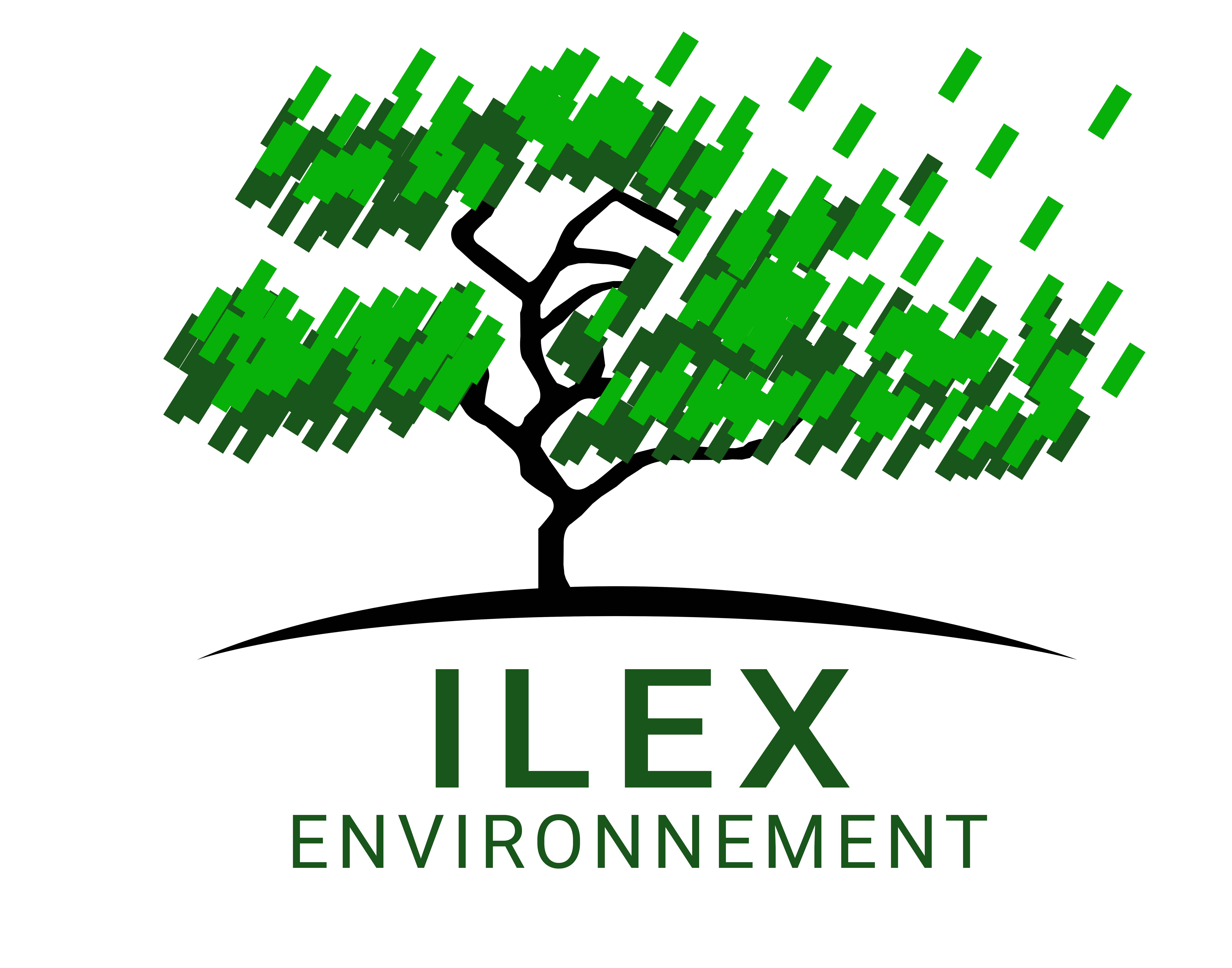 Logo ILEX.png